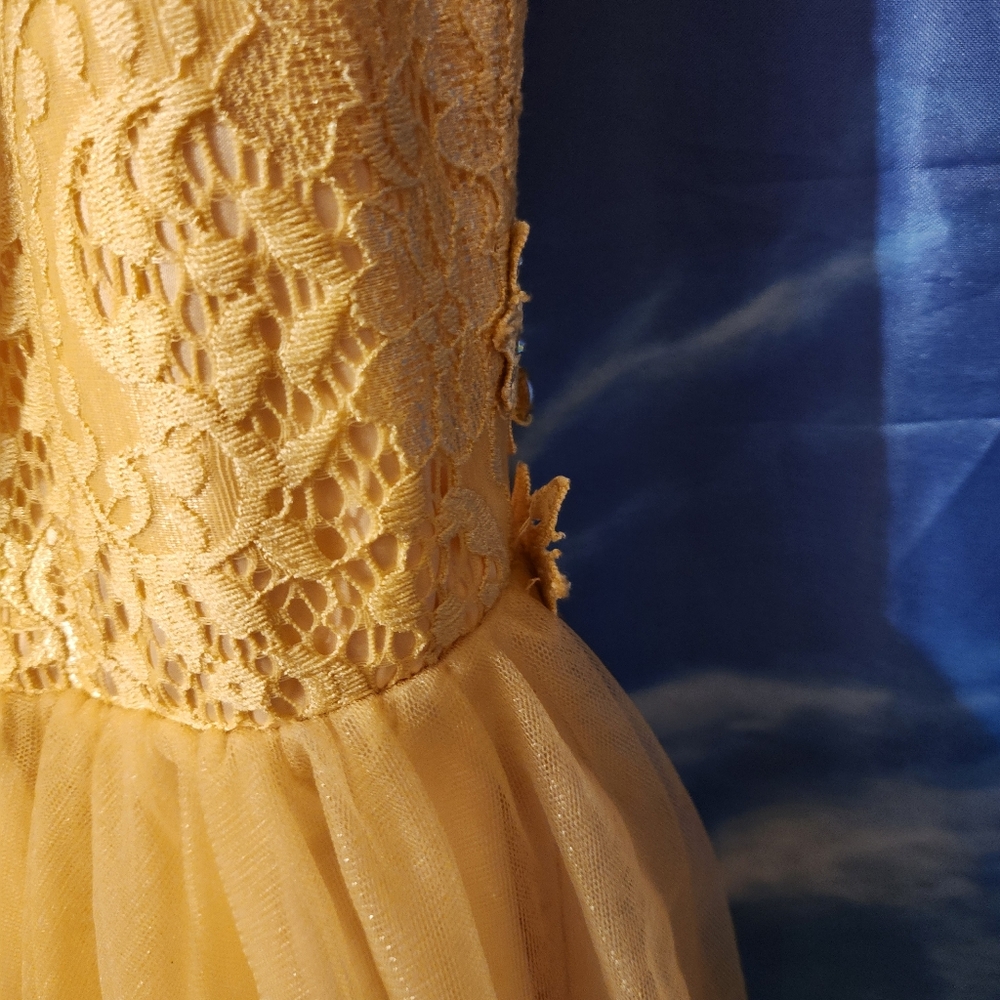 Formal dress color light gold with lace top/ designer Cindy USA, size XS - Picture 16 of 16